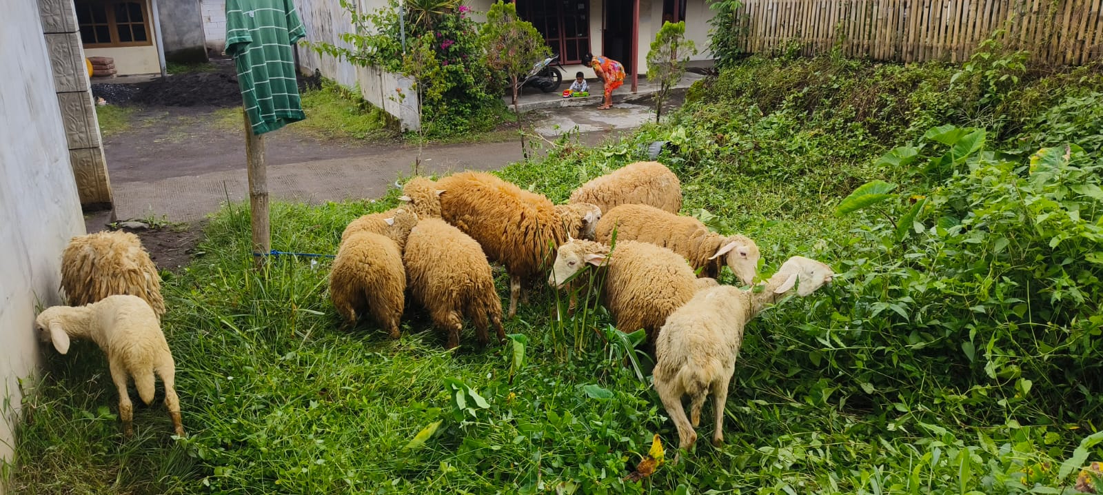 Pembekalan Tim Amil LAZISKHU