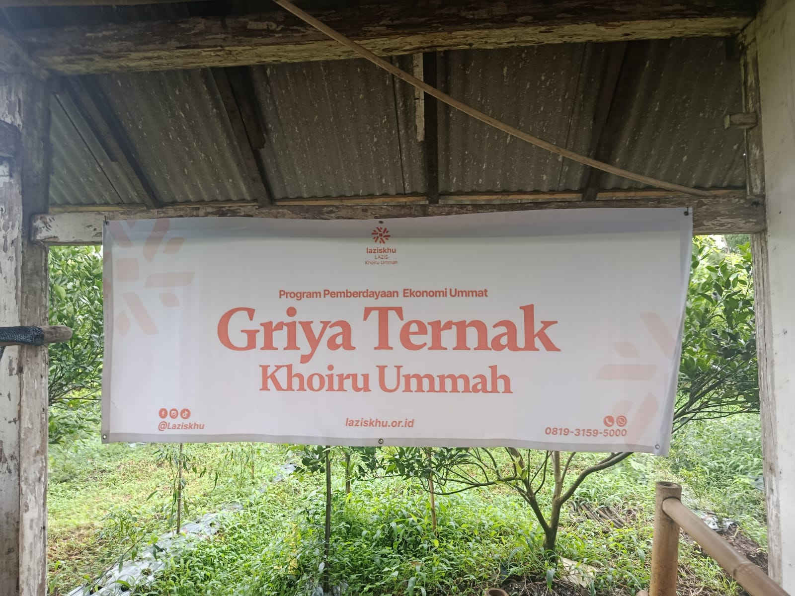 gambar untuk Ketika Zakat Tumbuh Menjadi Kemandirian